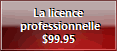 La licence professionnelle