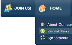 Blue Web Design Menu