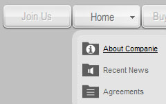 Menu de Flash White Grey Toolbar